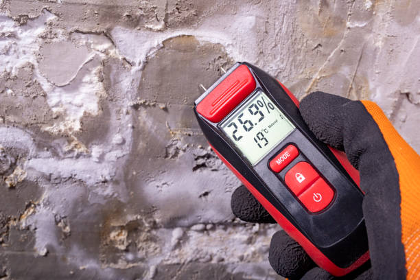 Best Commercial Mold Remediation in Wytheville, VA
