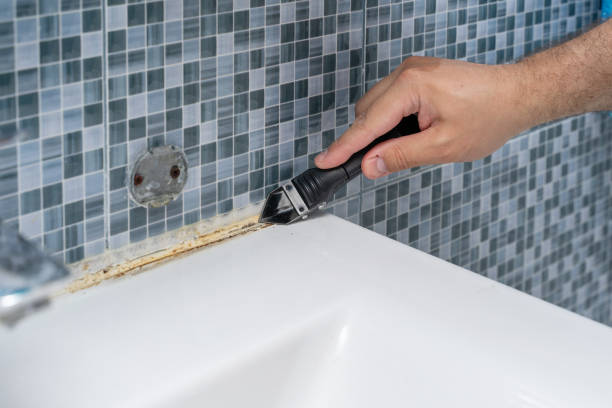 Best Basement Mold Remediation in Wytheville, VA