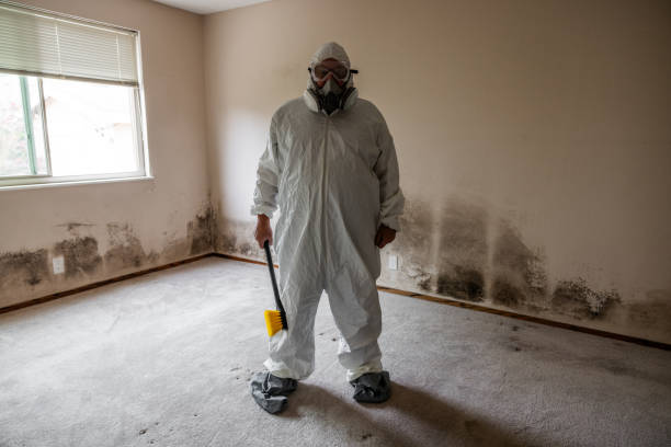 Best HVAC Mold Remediation in Wytheville, VA